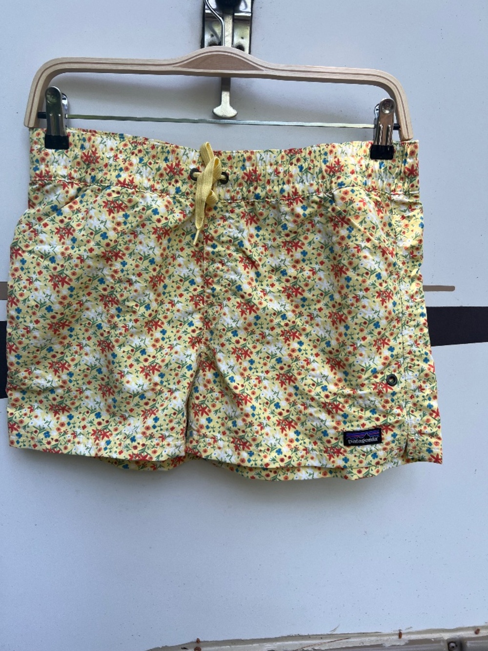 Patagonia Shorts
